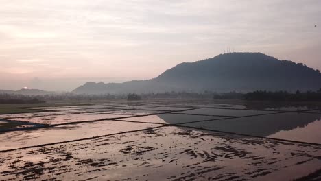 Luftaufnahmen,-Die-Von-überfluteten-Reisfeldern-über-Den-Berg-Gleiten